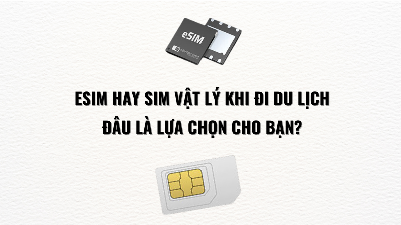 esim-va-sim-vat-ly