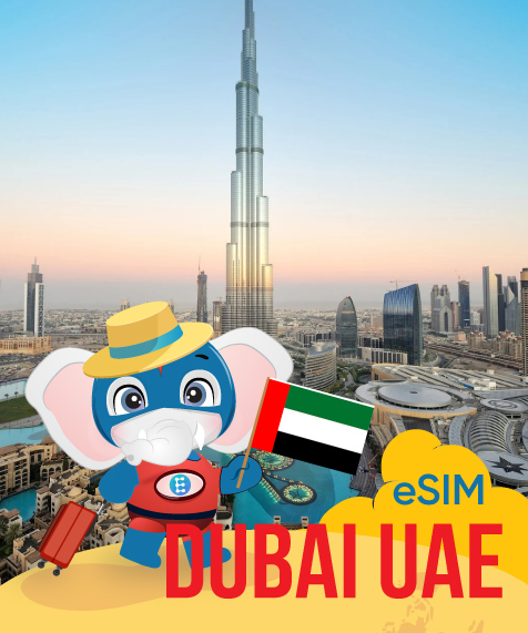 United Arab Emirates (UAE)