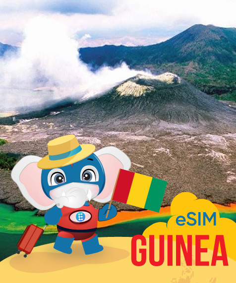 Guinea