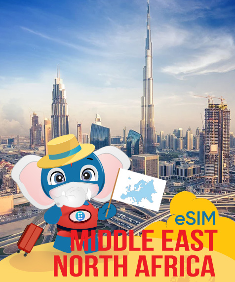 Middle East and North Africa