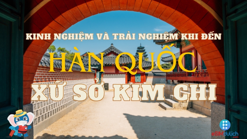 Hướng dẫn mua eSIM du lịch Hàn Quốc đơn giản dễ dàng