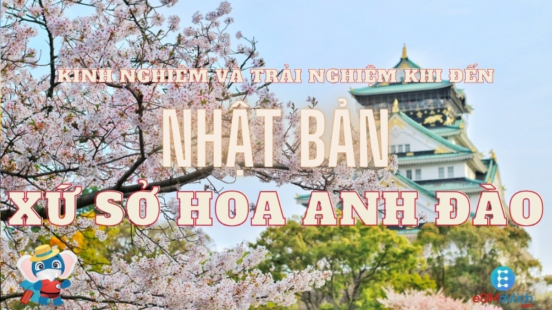Kết nối Internet tốc độ cao tại Nhật Bản